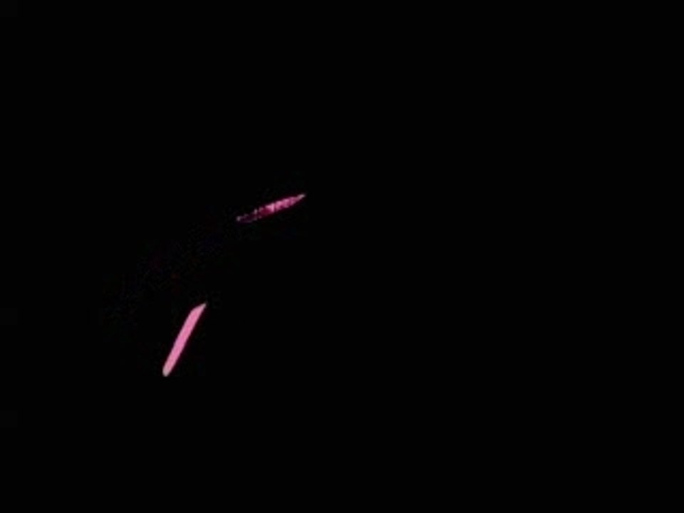 Torrid - Girls for Peace