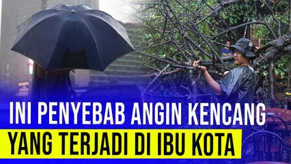 Waspada Angin Kencang, Ayo Rapihkan Pohon Rindang!