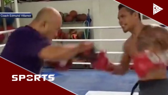 Donnie 'Ahas' Nietes, nais ng isa pang World Title shot #PTVSports