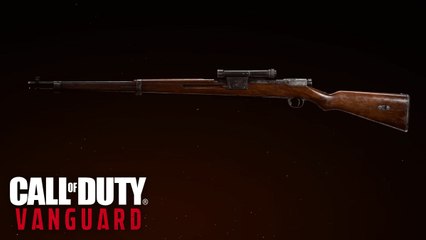 Vanguard : Quelle est la meilleure classe pour le Type 99 ?