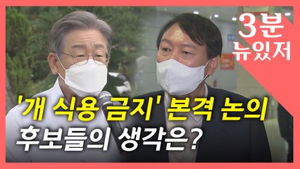 [뉴있저] "개고기 그만 먹자" 정부, 내년 4월 결론...여야 후보도 공감 / YTN