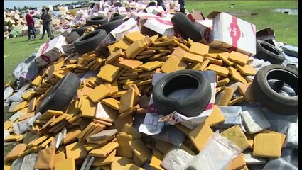 Les Douanes ivoiriennes saisissent et incinèrent plus de 79 tonnes de produits prohibés