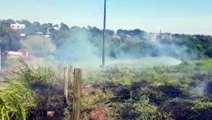 Bombeiros combatem incêndio em vegetação nas proximidades do Fórum Eleitoral