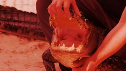 Can Rahki Survive Her Wildest Challenge Yet? | RAHKI'S WORLD