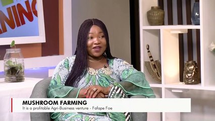 Mushroom Farming - Prime Morning on JoyPrime (3-12-21)