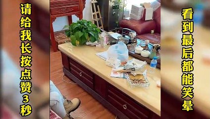 [John funny] Count those beautiful women's series, do such beautiful women don't like it?