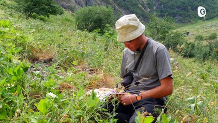 Documentaire - LA RESERVE INTEGRALE DU LAUVITEL A LA LOUPE - Documentaire - TéléGrenoble