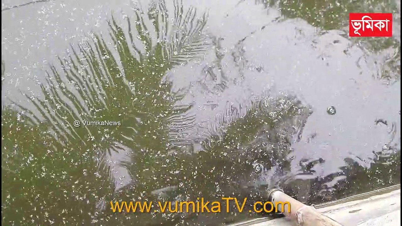 fish in the  water |_biofloc fish farming | Biofloc Fish Farming System |_বায়োফ্লক | Vumika TV