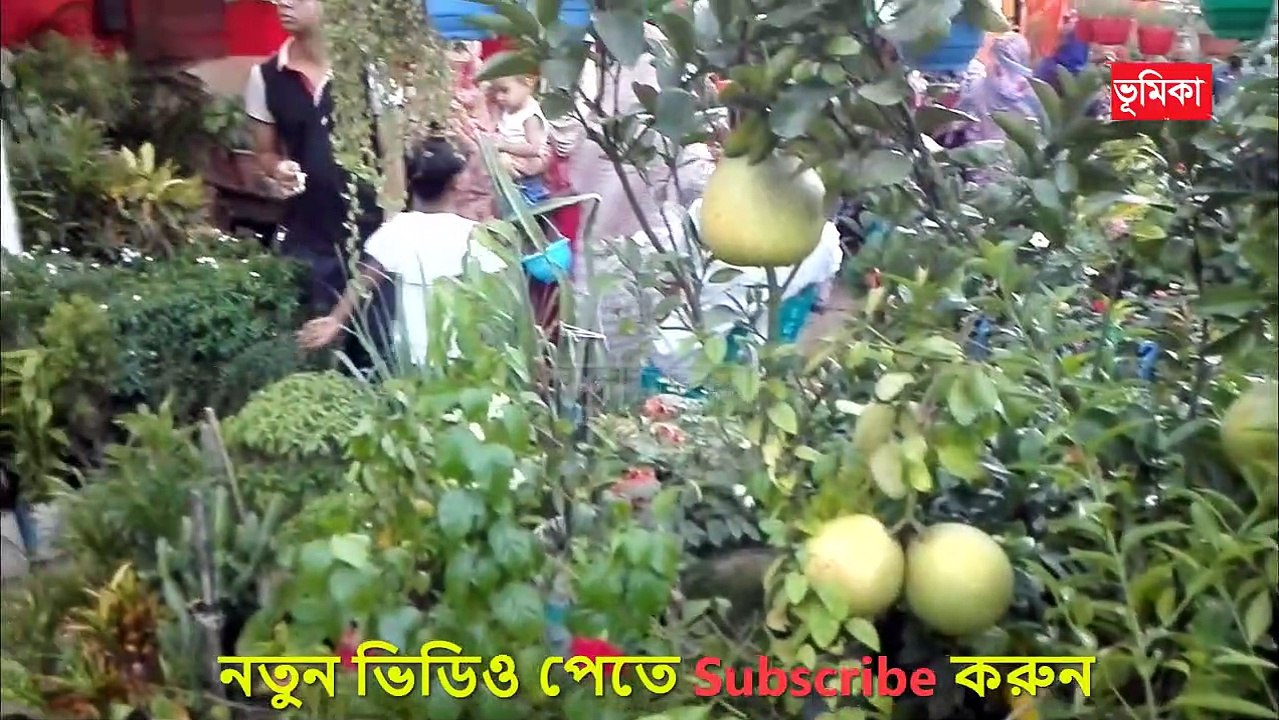 agriculture kishan fair  | চলুন ঘুরে দেখি বৃক্ষমেলা | beautiful home gardens |  vumika TV |