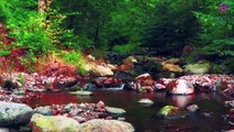 15 Minute Calming Natural Instrumental Music for Anxiety-Relief | Waterfall | Nature | Focus | Concentration | Stress-Relief | Serene | Joyful | Positive Energy | Study