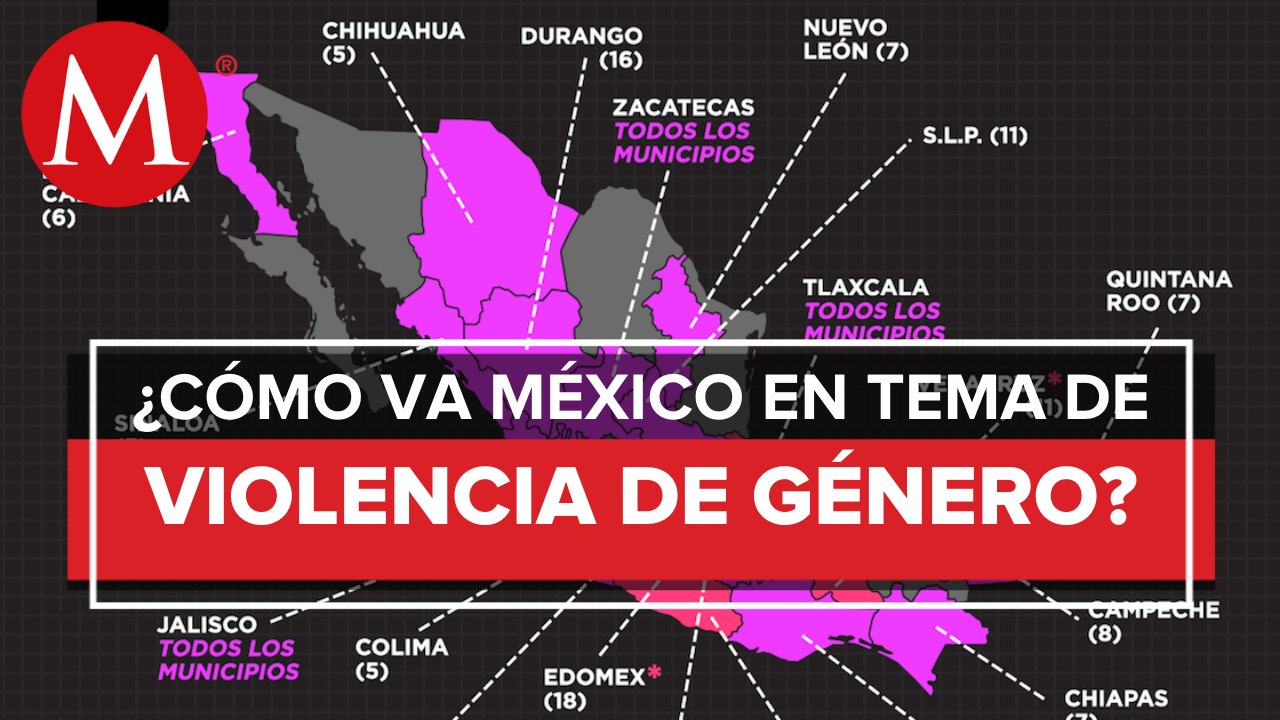 Alertas de violencia de género en México_ Fabiola Alanís, Titular de Conavim