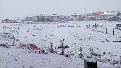 Kar yağışı etkisini sürdürdü