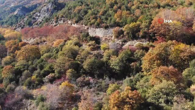 Denizli'de sonbaharın oluşturduğu renk cümbüşü görenleri kendine hayran bıraktı