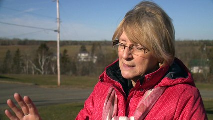 Topo cellulaire Islet