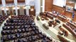 Румыния: парламент выразил доверие коалиционному правительству во главе с  Николае Чукэ