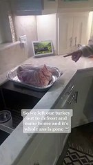 Dog Helps Itself to Thanksgiving Turkey