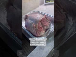Dog Helps Itself to Thanksgiving Turkey