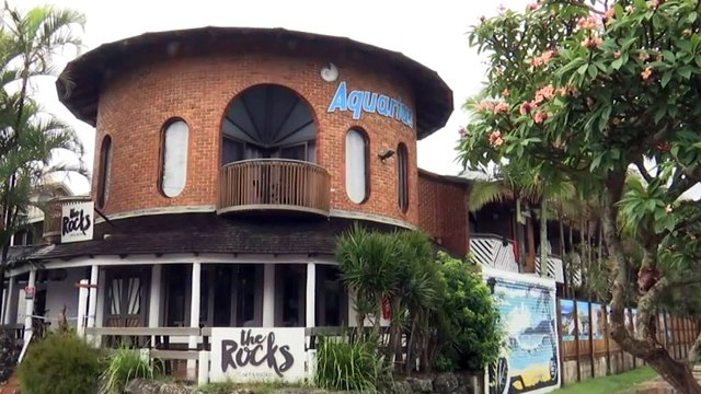 Backpackers in Byron Bay wafting on COVID test results