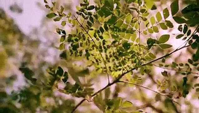 DJ MIRACLES SLOW VIRAL TIK TOK 2021 x MELODY FULL BASS DJ DESA TEAM