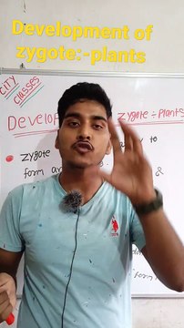 Development of zygote plants | Development of zygote plants in Hindi | Development of zygote plants biology #cityclasses