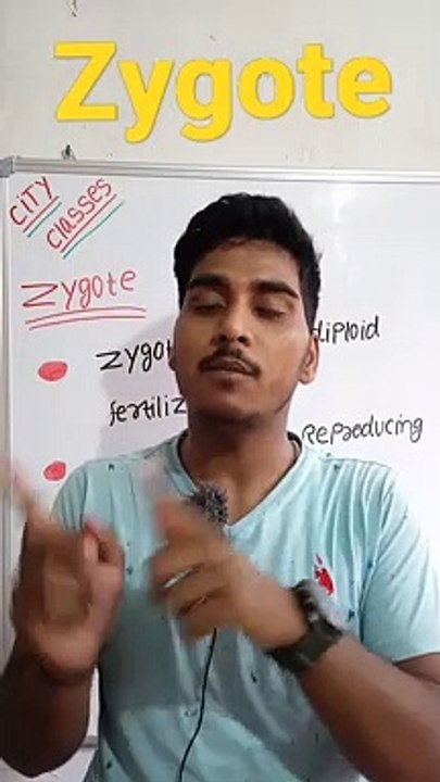 Zygote | Zygote in Hindi | Zygote biology | what is zygote #cityclasses