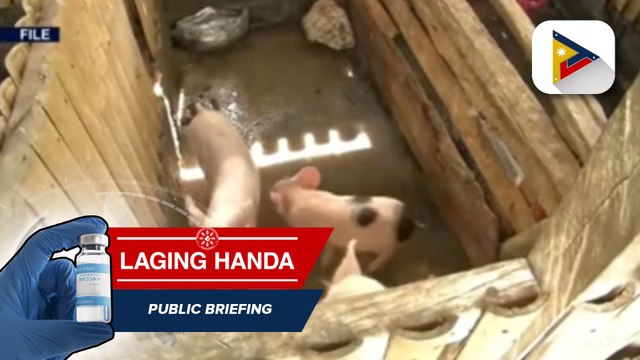 Mga apektadong hog raisers sa Tagudin, Ilocos Sur, binigyang tulong ng Department of Agriculture at tanggapan ni Sen. Go