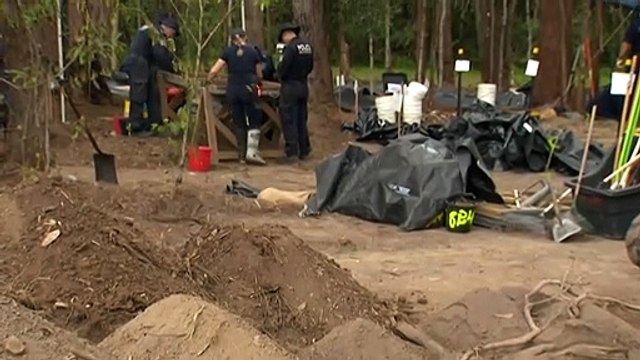 Search for William Tyrrell extended due to bad weather in NSW