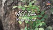 Mega Selvia - ACC Dulu (Official Lyric Video)
