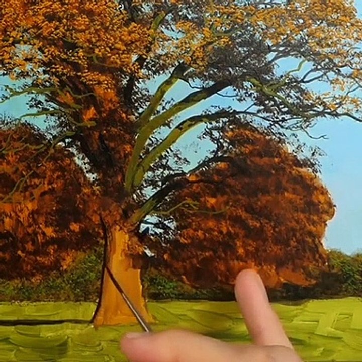 Watercolor & Sketch drawing  photos and videos