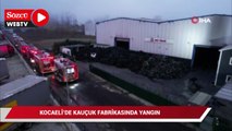Kocaeli’de kauçuk fabrikasında yangın