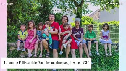 Amandine Pellissard (Familles nombreuses) : "Grosse angoisse", l'un de ses enfants aux urgences