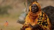 نساء بولاية كسلا السودانية يكسرن الصخور لتوفير لقمة العيش الكريمة