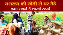 Mushroom Farming In Haryana Earning In Lakhs| मशरूम की खेती से किसानों को हो रहा है फायदा