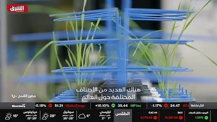 ...منذ مئات ومئات السنين . تميز عصرنا بزراع...