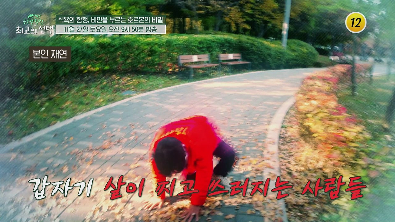 식욕의 함정, 비만을 부르는 호르몬의 비밀_글로벌 힐링 최고의 선택 22회 예고 TV...