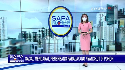 Gagal Mendarat Akibat Angin Kencang, Penerbang Paralayang Tersangkut di Pohon Setinggi 20 Meter!