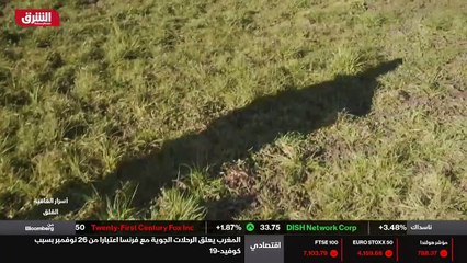 ...حياة خالية البال مثل مدير رائع وابن رائع...