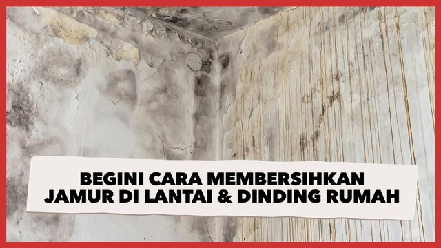 Begini Cara Membersihkan Jamur di Rumah, Mulai dari Lantai Keramik hingga Dinding Kayu