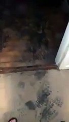 Children rescued from Pudsey home after hoverboard won in raffle explodes whilst on charge