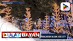 Giant Palay Christmas Tree, pinailawan sa San Jose City, Nueva Ecija