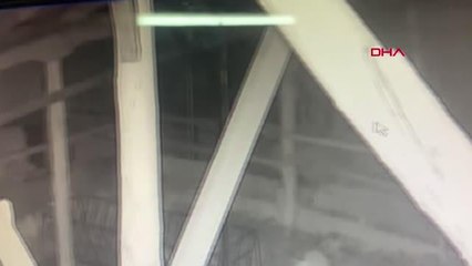 Mahalleye inen kurtlar 2 koyunu öldürdü; o anlar kamerada