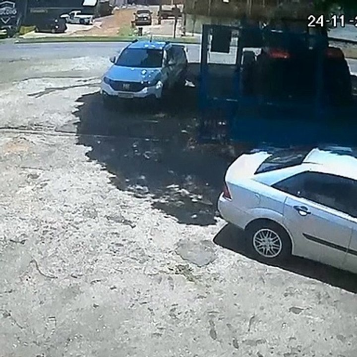 Cães enfrentam assaltantes armados em Londrina