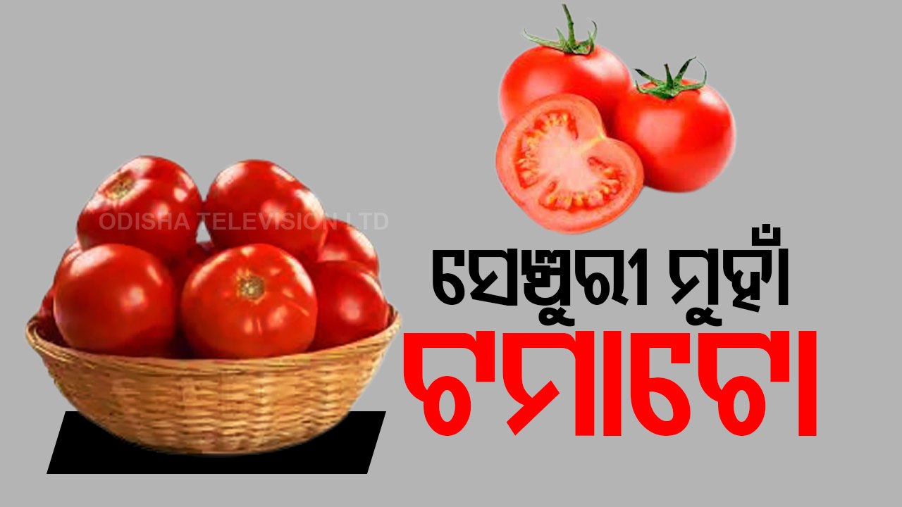 Rising Tomato Price Across Odisha Burns Hole In Customers' Pocket