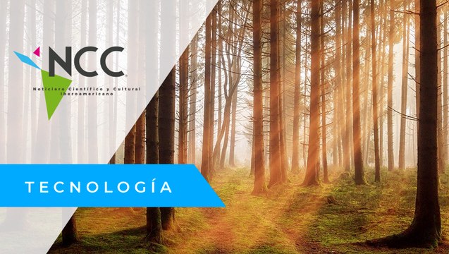 ¿Podrían los árboles artificiales ayudar a mitigar el cambio climático?