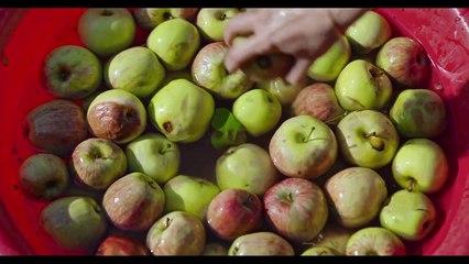 Bağlılık Hasan Fragman