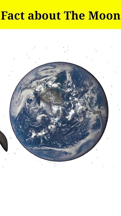 Fact about The Moon
