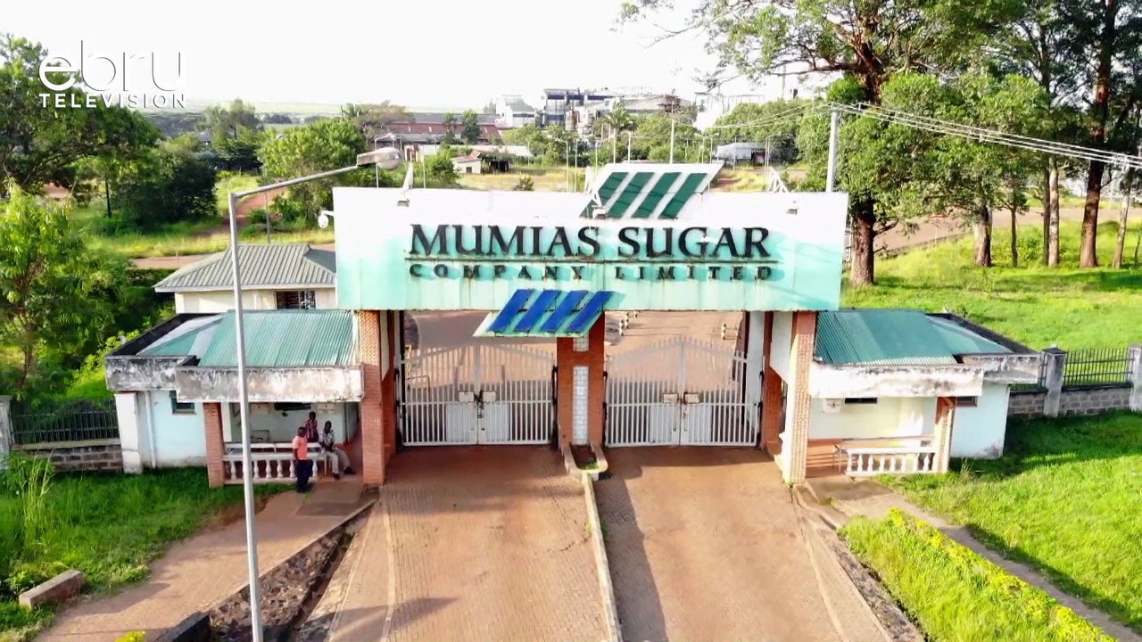 Kampuni Ya Mumias Inatarajiwa Kupata Mwekezaji...