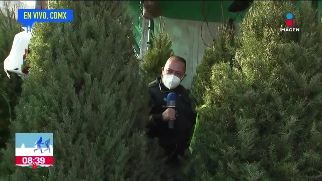 Familias mexicanas inician las compras navideñas