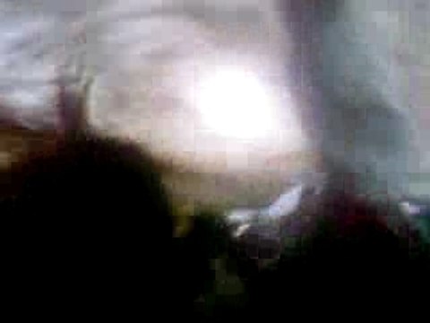 Bordeaux-PSG virage sud Bordelais 3