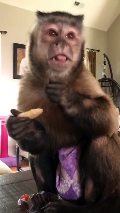 Moms making beans tonight and I got to sample! Beans make you schrong and  but good for you ❤️